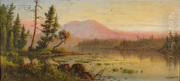 River Landscape - view 1