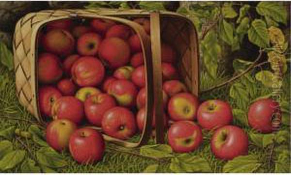 Basket Of Apples - view 1