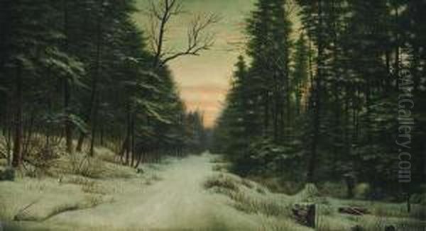 Winter Road - view 1