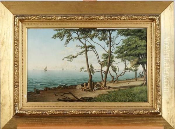 Lake Erie - view 1