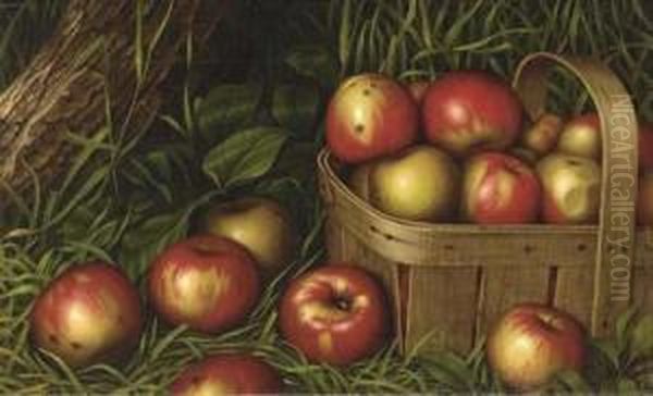 Harvest Of Apples - view 1