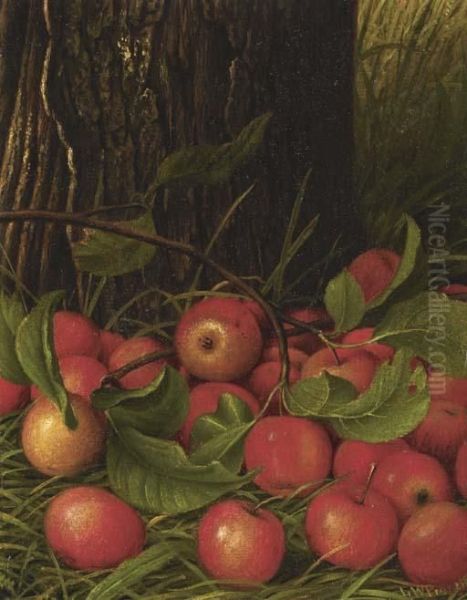 Apples Under A Tree - view 1