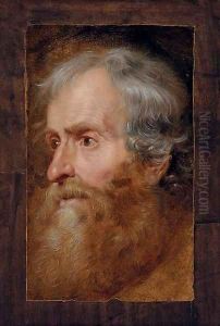 Head of an old man by Sir Anthony Van Dyck