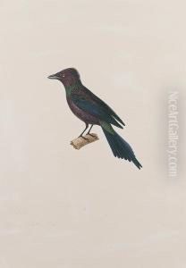 Signed And Dated In Pen And Brown Ink On The Perch: by Jean Gabriel Pretre