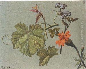 Studies Of Flowers And Vineleaves by Jean Louis, Le Jeune Prevost