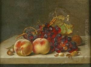 Still Life With Grapes, Peaches And Nuts On A Marble Plinth by Johann Wilhelm Preyer