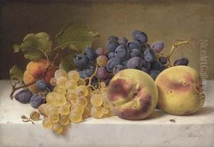 A Still Life With Peaches And Grapes On A Marble Ledge by Johann Wilhelm Preyer