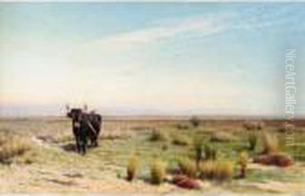 The Camargue - view 1