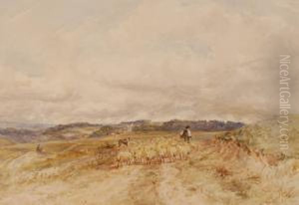Shepherd And Sheep Nearbrighton - view 1