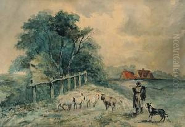 Driving Sheep - view 1
