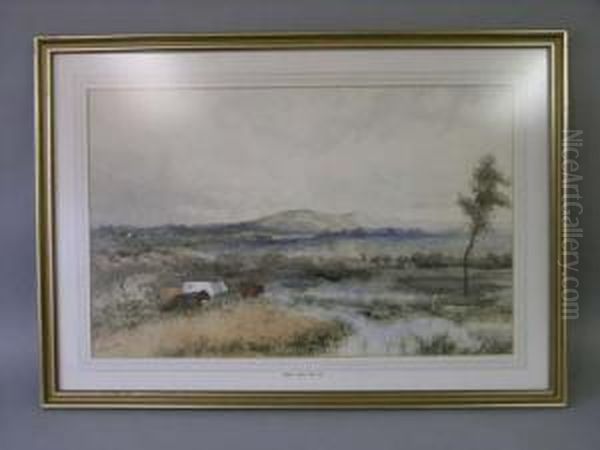 Cattle In Landscape Signed 17.5 X 27.5in - view 1