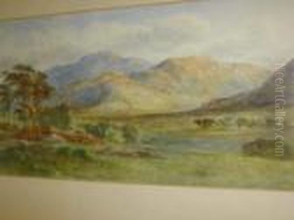 Lakeland River Scene - view 1