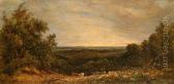 Downs - view 1