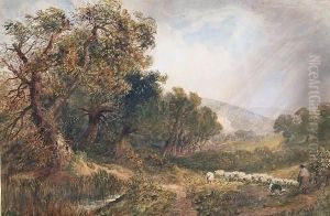 Near Malvern, Worcester