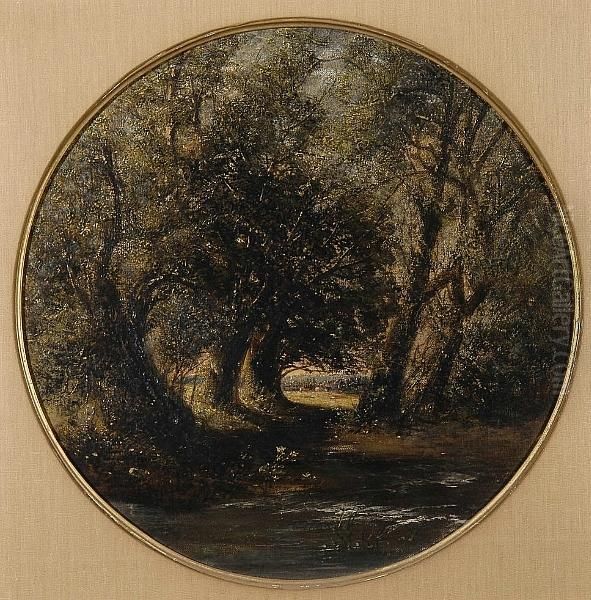 Woodland Trees - view 1
