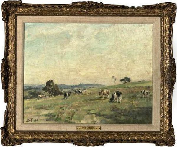 Cattle Grazing - view 1