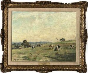 Cattle Grazing