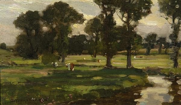 Meadow - view 1