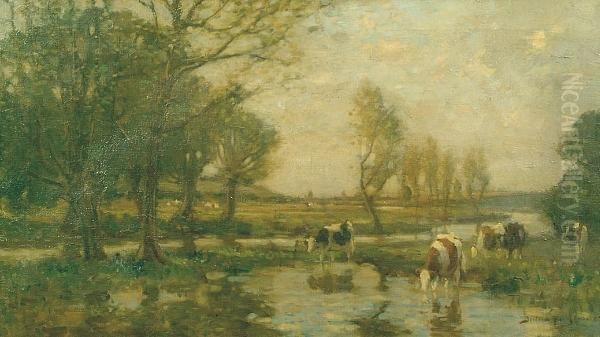 Cattle Watering In An Extensive Landscape - view 1