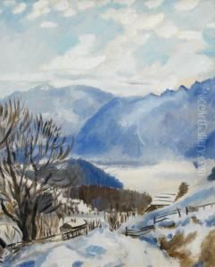 La Vallee Du Rhone Vue De Leysin.