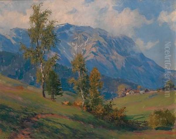 Der Schneeberg (von Puchberg Gesehen) - view 1