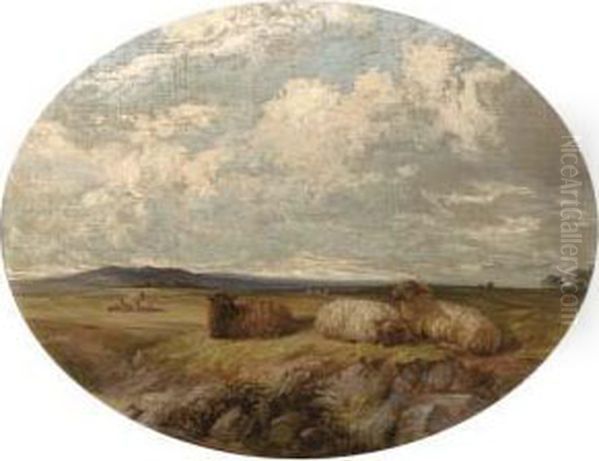 Sheep In A Meadow - view 1