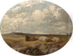Sheep In A Meadow by Edward Pritchard