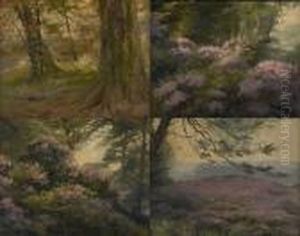 Paysages