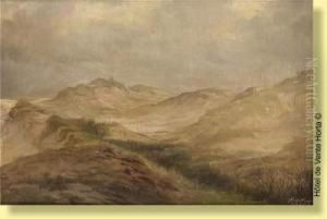 Dunes by Privat Livemont
