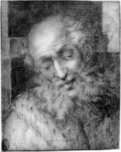 The Head Of A Bearded Old Man by Camillo Procaccini