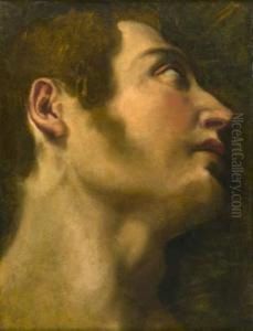 Tete D'homme En Contre-plongee De Profil Droit