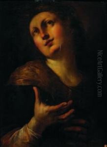 Santa Filomena Martire - view 1