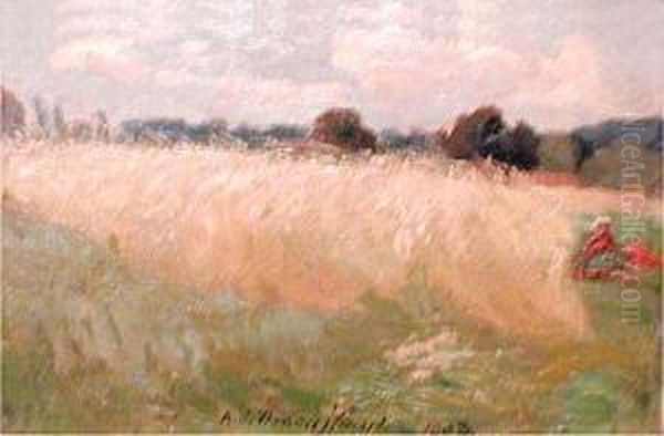 Lan Zboza - view 1