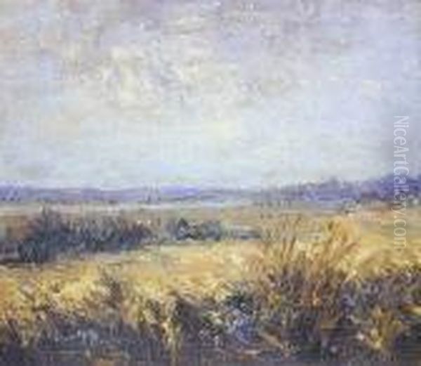 Letni Pejzaz - view 1