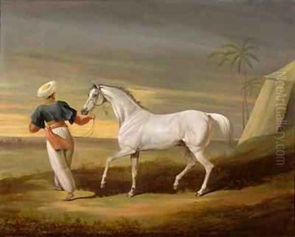 Signal a grey Arab with a Groom in the Desert - view 1