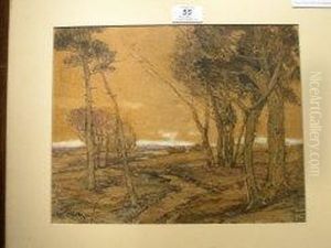 Windswept Trees