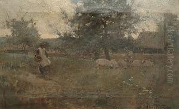 A Girl With Sheep By A Farmstead - view 1