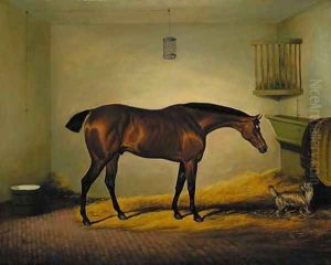 President, a bay hunter with a dog in a stable