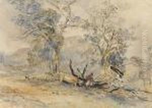 Mt Wellington, Hobarton by John Skinner Prout