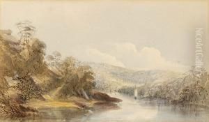 Tasmanian River Scene