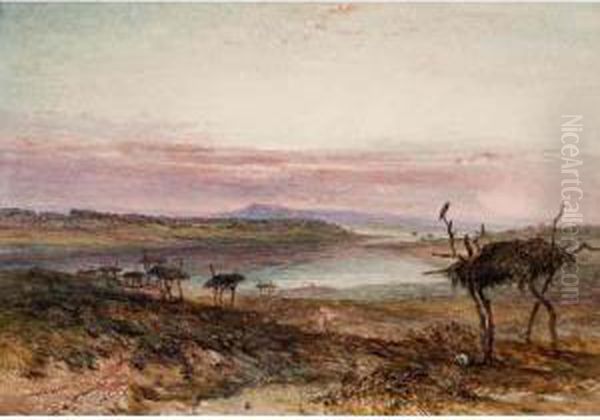 Mode Of Disposing Of The Dead - view 1