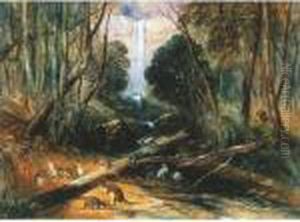 Aborigine Stalking - Willoughby Falls, New South Wales Aborigine Stalking - Willoughby Falls, New South Wales