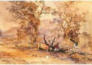 Traveller Seated On A Fallen Tree