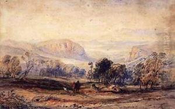 Landscape - view 1