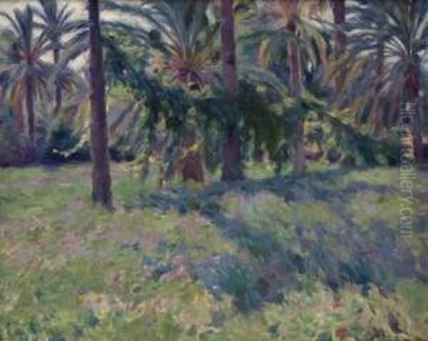 La Palmeraie - view 1