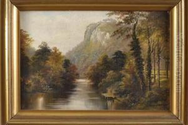 Summer River Landscape Possibly The Wye At Symonds Yat - view 1