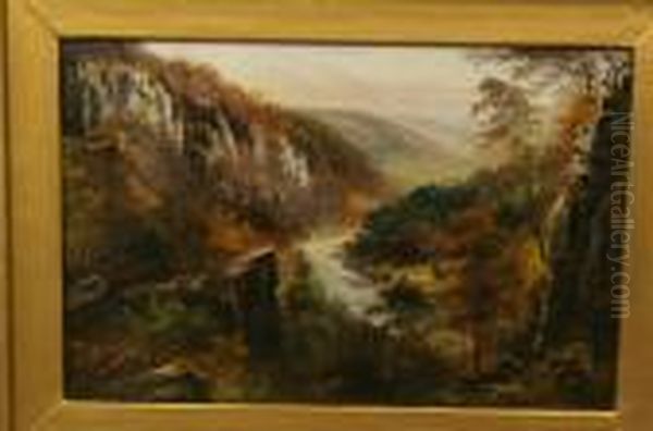 The Derwent Valley, Matlock Bath, Derbyshire - view 1