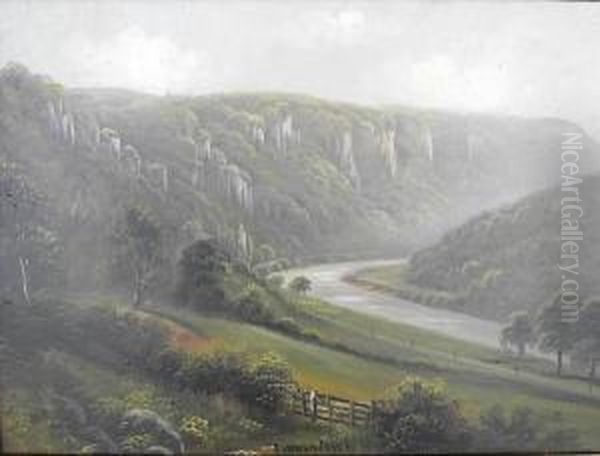 Forest Ofdean, The Wye Valley - view 1