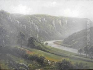 Forest Ofdean, The Wye Valley by George Willis Pryce