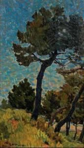 Pineta A Campolecciano Pini Marittimi by Mario Puccini